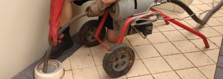 Traditional Eel Drain Cleaner